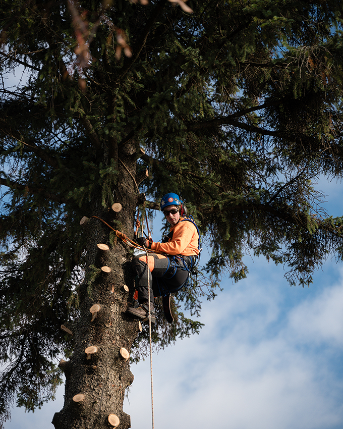 A student sits against a tree mid-climb